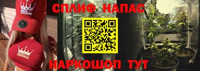 индика Краснодар
