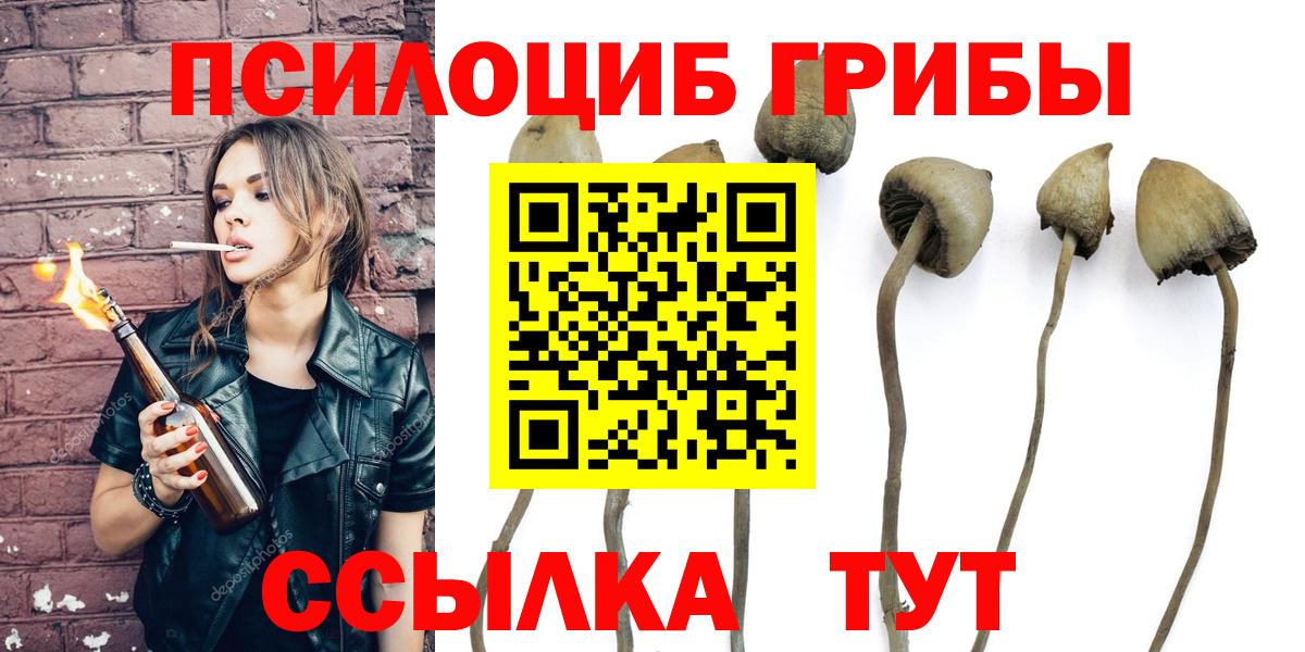 Псилоцибиновые грибы Cubensis Ишимбай